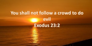not_follow_a-crowd