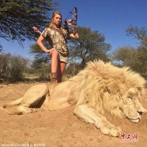 lion-hunting_business