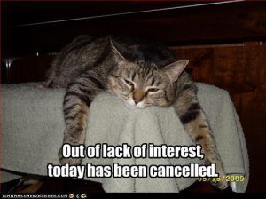 funny-pictures-cat-cancels-today_out-of-interest